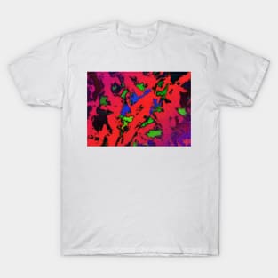 Shredded reflections T-Shirt